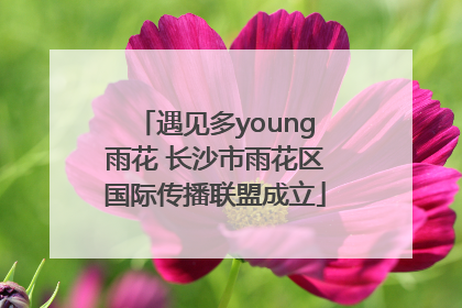 遇见多young雨花 长沙市雨花区国际传播联盟成立
