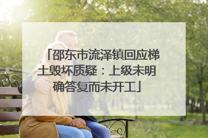 邵东市流泽镇回应梯土毁坏质疑：上级未明确答复而未开工