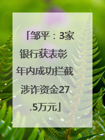 邹平：3家银行获表彰 年内成功拦截涉诈资金27.5万元