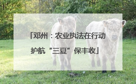邓州：农业执法在行动 护航“三夏”保丰收