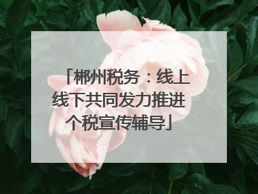 郴州税务：线上线下共同发力推进个税宣传辅导