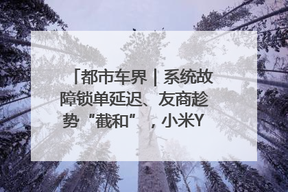 都市车界｜系统故障锁单延迟、友商趁势“截和”，小米YU7陷交付困局