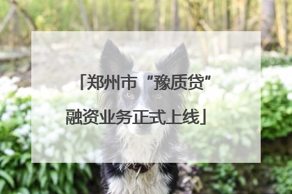 郑州市“豫质贷”融资业务正式上线