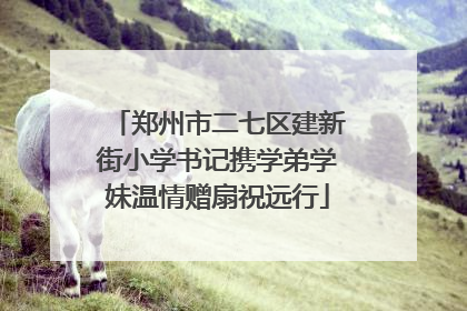 郑州市二七区建新街小学书记携学弟学妹温情赠扇祝远行