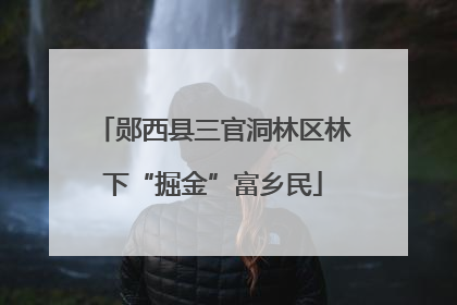 郧西县三官洞林区林下“掘金”富乡民