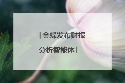 金蝶发布财报分析智能体