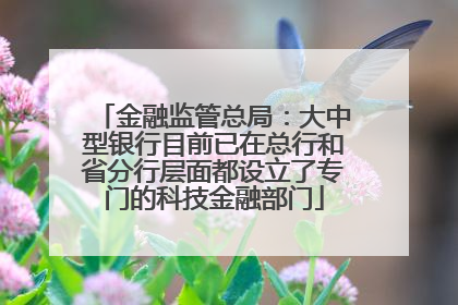 金融监管总局：大中型银行目前已在总行和省分行层面都设立了专门的科技金融部门