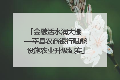 金融活水润大棚——莘县农商银行赋能设施农业升级纪实