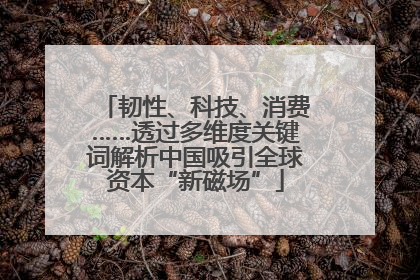 韧性、科技、消费……透过多维度关键词解析中国吸引全球资本“新磁场”