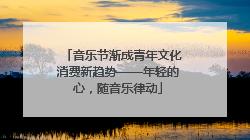 音乐节渐成青年文化消费新趋势——年轻的心，随音乐律动