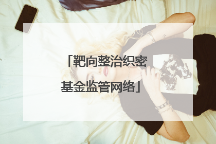 靶向整治织密基金监管网络