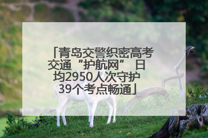 青岛交警织密高考交通“护航网” 日均2950人次守护39个考点畅通