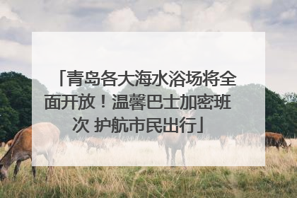 青岛各大海水浴场将全面开放！温馨巴士加密班次 护航市民出行