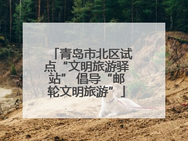 青岛市北区试点“文明旅游驿站” 倡导“邮轮文明旅游”