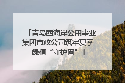 青岛西海岸公用事业集团市政公司筑牢夏季绿植“守护网”