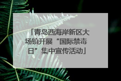 青岛西海岸新区大场镇开展“国际禁毒日”集中宣传活动