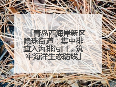 青岛西海岸新区隐珠街道：集中排查入海排污口，筑牢海洋生态防线