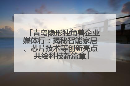 青岛隐形独角兽企业媒体行：揭秘智能家居、芯片技术等创新亮点 共绘科技新篇章