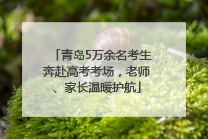 青岛5万余名考生奔赴高考考场，老师、家长温暖护航