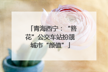 青海西宁：“簪花”公交车站扮靓城市“颜值”