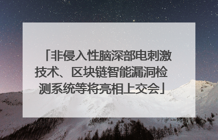 非侵入性脑深部电刺激技术、区块链智能漏洞检测系统等将亮相上交会