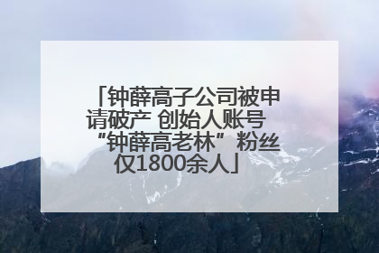 钟薛高子公司被申请破产 创始人账号“钟薛高老林”粉丝仅1800余人