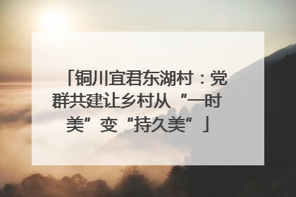 铜川宜君东湖村：党群共建让乡村从“一时美”变“持久美”