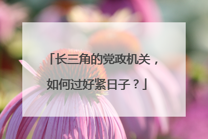 长三角的党政机关，如何过好紧日子？