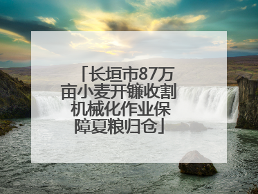 长垣市87万亩小麦开镰收割 机械化作业保障夏粮归仓