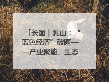 长图｜乳山：“蓝色经济”破题——产业聚能、生态赋能、文旅释能的协同路径