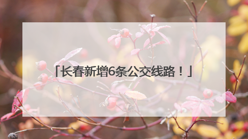 长春新增6条公交线路！