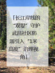 长江岸线的“双堤”守护 武昌社区防溺引入“1米高度”治理视角