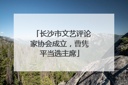 长沙市文艺评论家协会成立，曹隽平当选主席