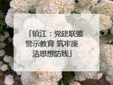 镇江：党建联盟警示教育 筑牢廉洁思想防线
