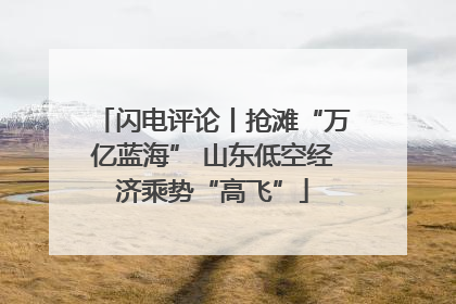 闪电评论丨抢滩“万亿蓝海” 山东低空经济乘势“高飞”