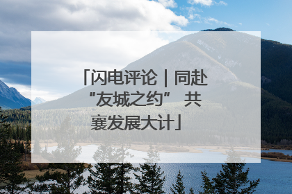 闪电评论｜同赴“友城之约” 共襄发展大计