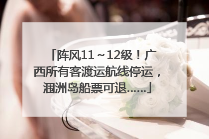 阵风11～12级！广西所有客渡运航线停运，涠洲岛船票可退……