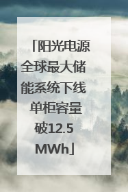 阳光电源全球最大储能系统下线 单柜容量破12.5MWh