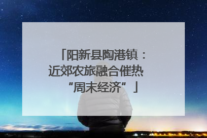 阳新县陶港镇：近郊农旅融合催热“周末经济”