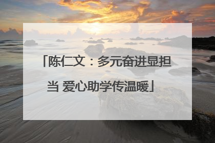 陈仁文：多元奋进显担当 爱心助学传温暖