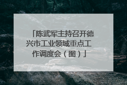 陈武军主持召开德兴市工业领域重点工作调度会（图）