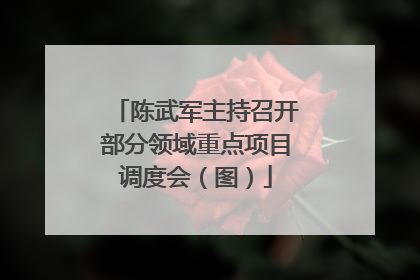 陈武军主持召开部分领域重点项目调度会（图）
