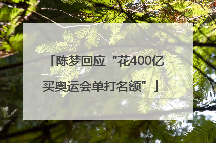 陈梦回应“花400亿买奥运会单打名额”