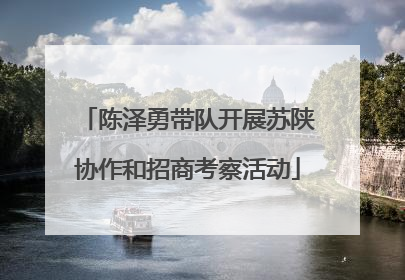 陈泽勇带队开展苏陕协作和招商考察活动
