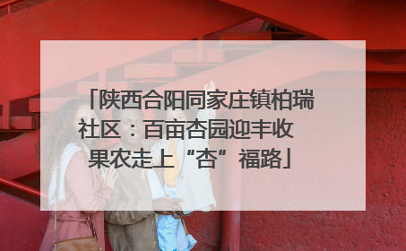 陕西合阳同家庄镇柏瑞社区：百亩杏园迎丰收 果农走上“杏”福路