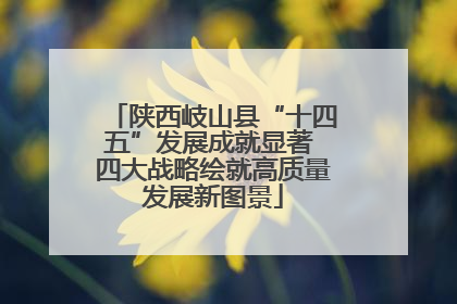 陕西岐山县“十四五”发展成就显著 四大战略绘就高质量发展新图景