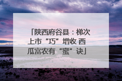陕西府谷县：梯次上市“巧”增收 西瓜富农有“蜜”诀