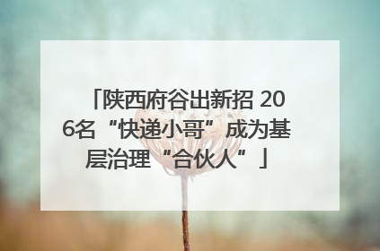 陕西府谷出新招 206名“快递小哥”成为基层治理“合伙人”