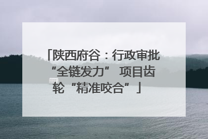 陕西府谷：行政审批“全链发力” 项目齿轮“精准咬合”
