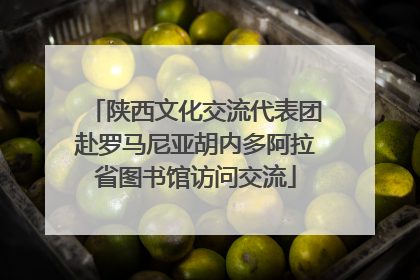 陕西文化交流代表团赴罗马尼亚胡内多阿拉省图书馆访问交流